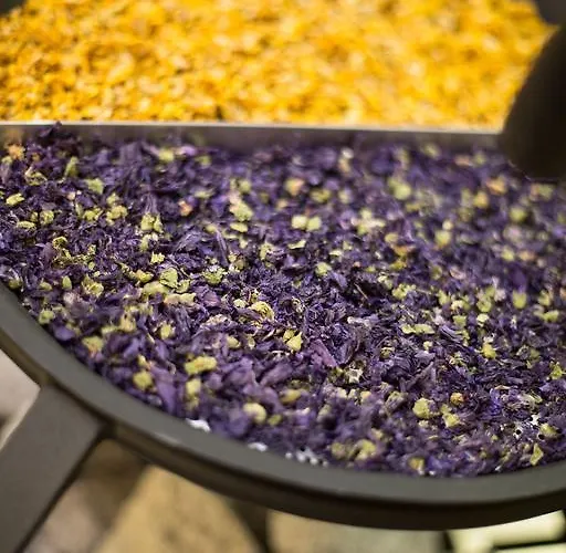 מלון Gletscherblick