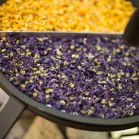 Hotell Gletscherblick